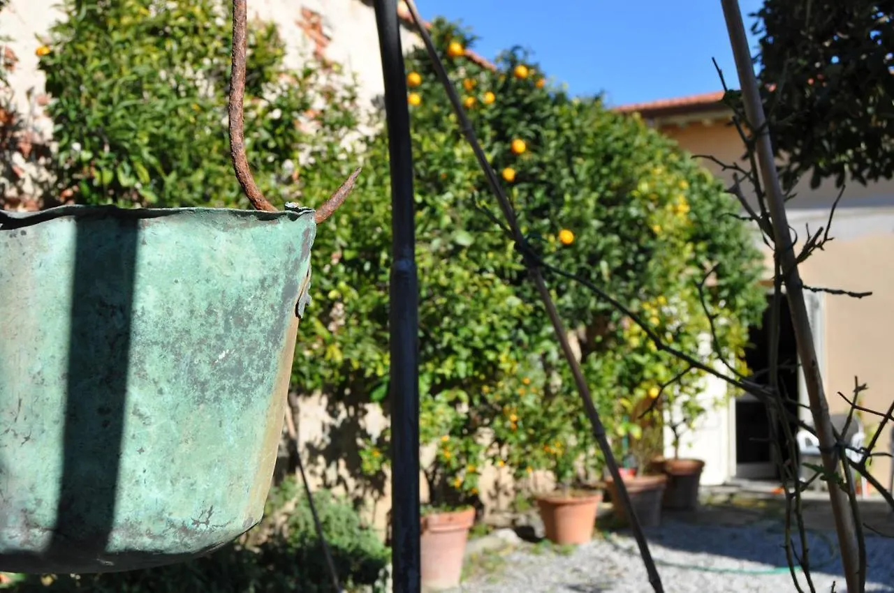 Villa Salvini Marina Di Pisa